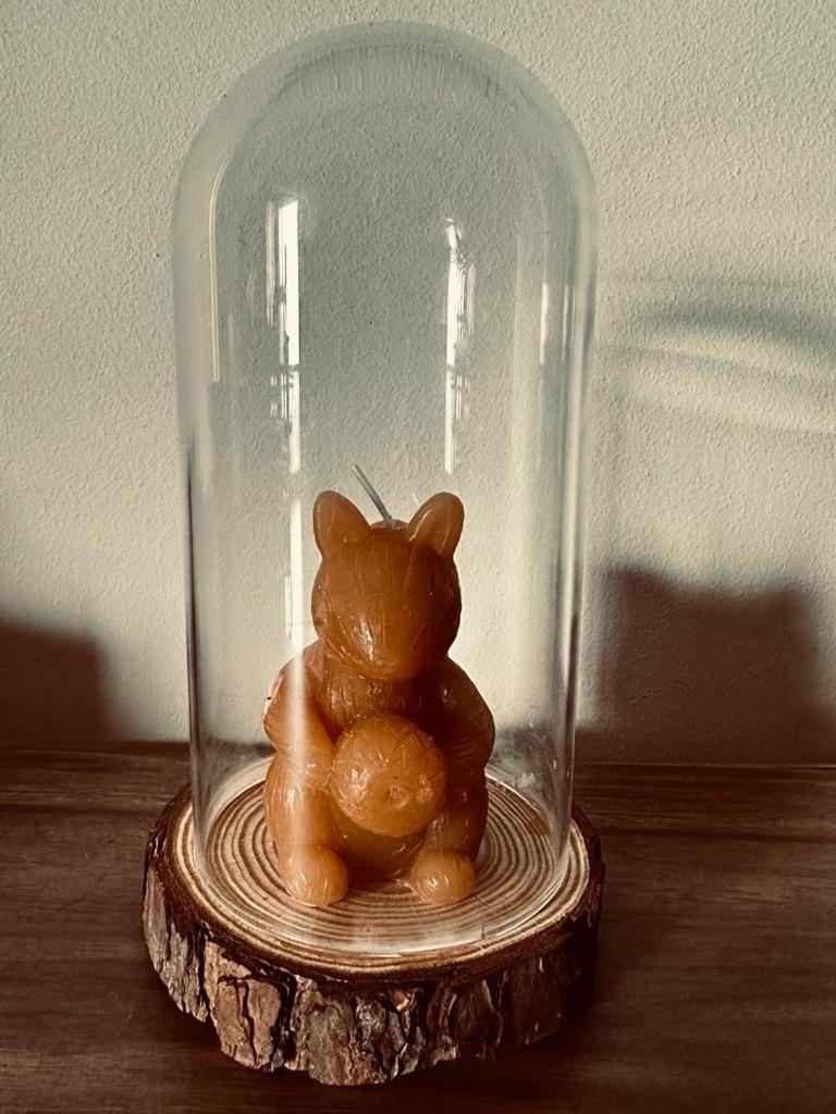 Love, Made In Xisto Piódão Zewnętrze zdjęcie